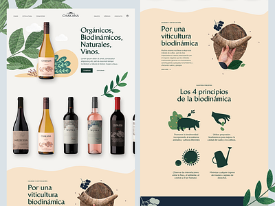 Organic Wine web design - Chakana