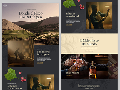 Pisco Mistral Home page design clean dark design pisco ui web wine yellow