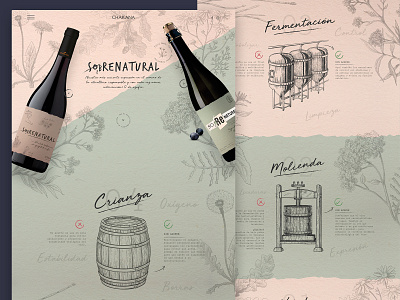 Wine brand web site design green illustration landing natural texture ui web wine wine bottle winery yellow