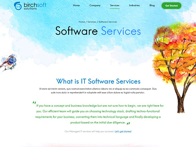 Birchsoft