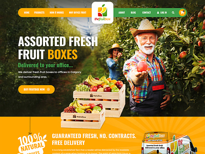 The Fruit Box design typography ui