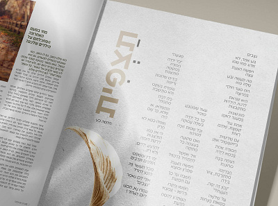 Magazine layout and design design graphic design print typography