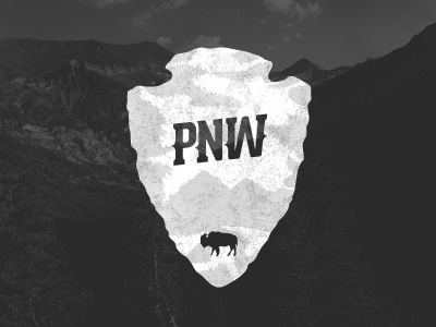 Arrowhead arrowhead buffalo bw pnw vector