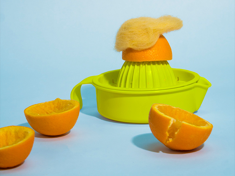 When Life Gives You Oranges by Jess DeAngelis on Dribbble