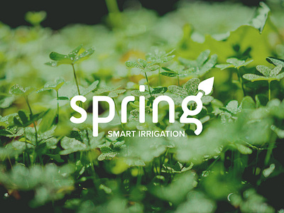 Spring Brand app branding design interaction ui ux