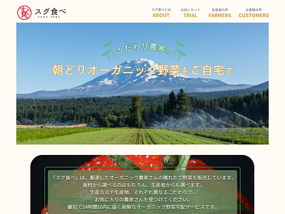 Organic foods web_site template ui design web design