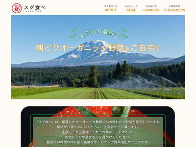 Organic foods web_site template ui design web design