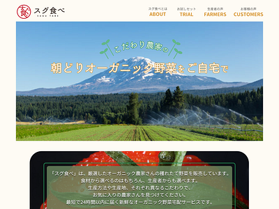 Organic foods web_site template