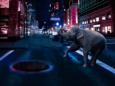 Justfillin animal city elephant night