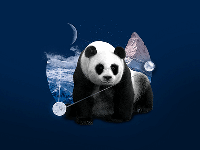 Pountain moon mountain panda