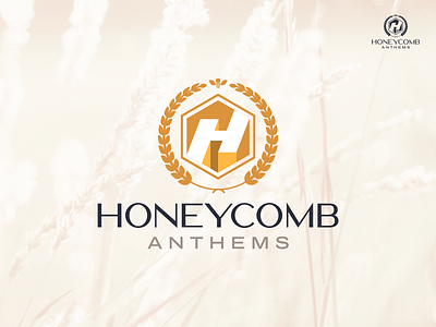 Logo design branding design h hive logo vector
