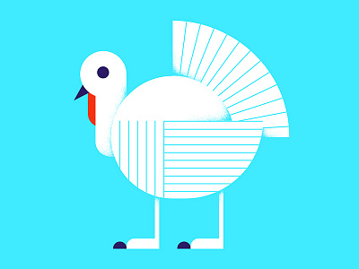 Turkey animal beak bird blue feathers icon line minimal monoline turkey vector wings