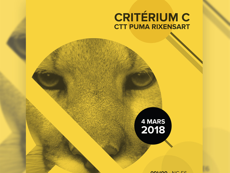 Table Tennis Tournament Poster sport photography animal typography ping pong puma yellow print poster tournament tennis table