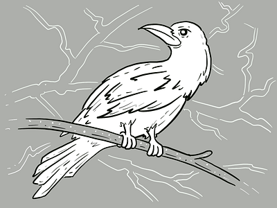 White Raven birds characters illustration raven