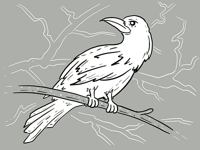 White Raven