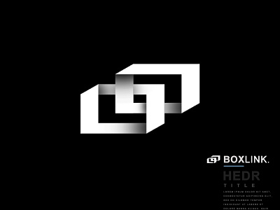 Boxlink logo branding chris graphic design logo ui