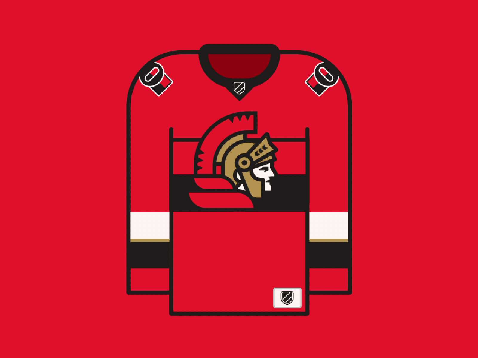 NHL Alternate Jersey Concepts  Sports jersey design, Ice hockey