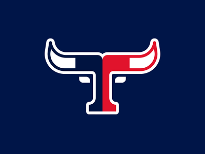 Houston Texans bull football houston logo design nfl sports branding sports logo texans