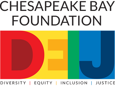 CBF DEIJ Initiative Branding branding design diversity equity inclusion justice logo logo brand mark logos vector