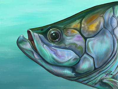 Tarpon digital painting digitalart fish fishing illustration outdoors procreate procreate app