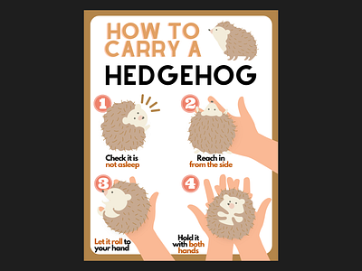 Minimalist Poster design graphic design hedgehog illustration poster