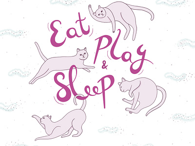 EatPlaySleep