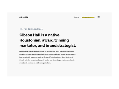 Gibsoon branding web designer website design