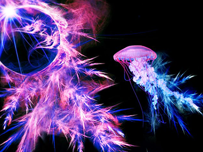 Jellyfish digital art fish fractal jellyfish photomanipulation psychedelic qualle quallen visionary