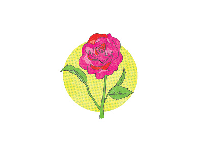 Rose commission illustration love rose valentines day