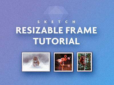 Resizable Frame Sketch Tutorial frame image interface override picture resizable responsive sketch symbol tutorial ui