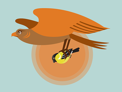 Hawk vs. Finch bird hawk illustration throwback