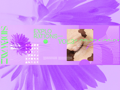SIDEWAYZ art direction design editorial exploded grid exploration flower grid layout outside the box purple typography web design