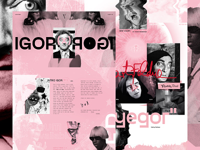 IGOR (x) ROGI exploded grid grid grid layout grunge igor mocktober pink texture tyler the creator typography ui ux web design white young frankenstein