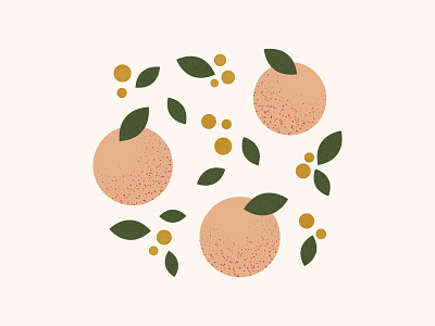 Peaches branding food fruit illustration vector