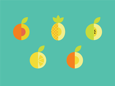 Fruit Symmetry color illustration minimal packaging print vector wine label