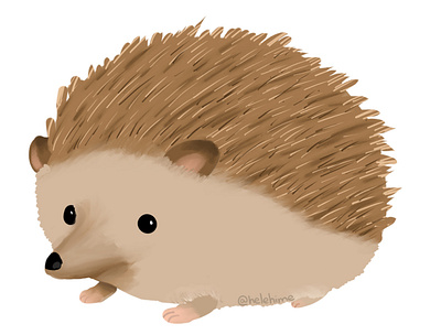 Hedgehog animal art cute digital hedgehog illustration