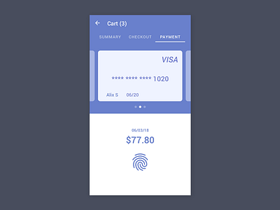 Payment business cart checkout credit card e commerce mobile wallet pay payment shop