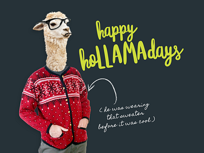 Hollamadays holiday llama llamas throwback