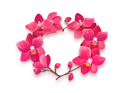 orchid beautiful flower girl heart love orchid pink spring