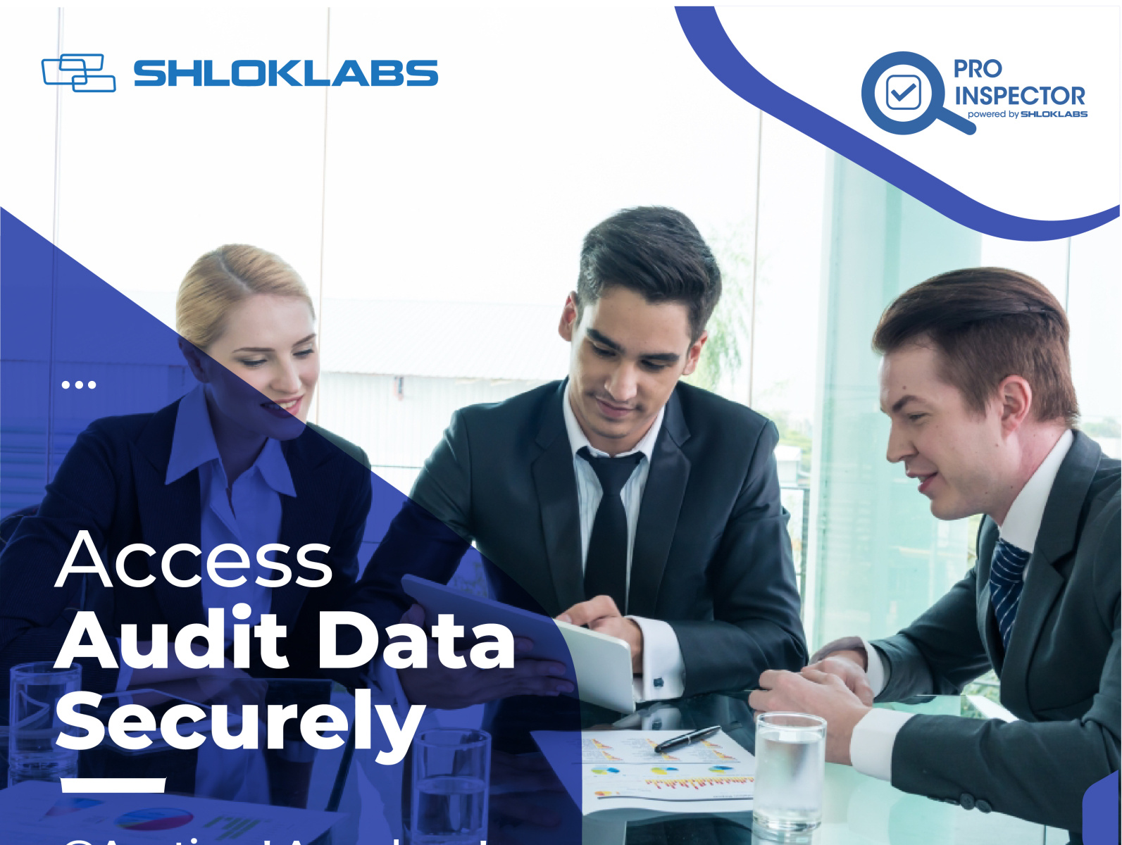 Safety Audit Inspection management Software ProInspector by