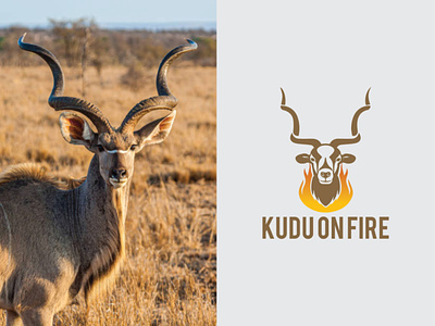 KUDU ON FIRE bbq bbq logo branding creative deer deer logo design fire graphic design icon kudu kudu logo logo logo maker minimalist vector
