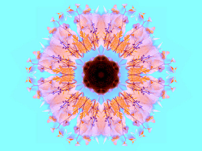 Botanic Kaleidoscope Pattern 1