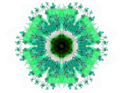 Botanic Kaleidoscope Pattern 2 botanical kaleidoscope pattern photography
