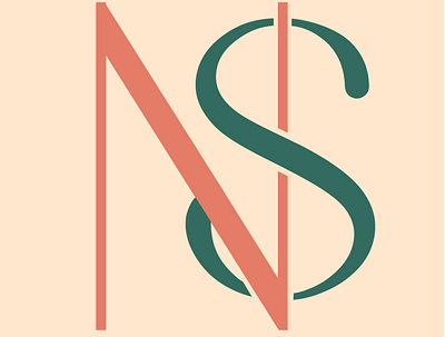 Monograma NS graphic design logo monogram schoolwork student