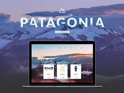 Patagonia UI KIT blue e commerce ecommerce eshop fashion forms input light style ui uikit webdesign