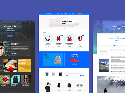 Patagonia UI KIT_examples