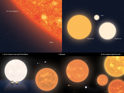 Our Sun compared to other suns