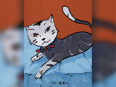 台湾猫2 pet／cat