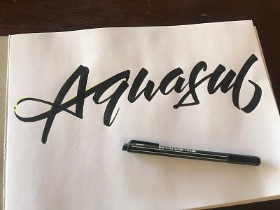 Aquasul brush script hand lettering hand writing handwriten