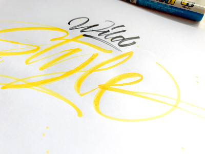 Wild Style brush and ink brush calligraphy brush script hand lettering